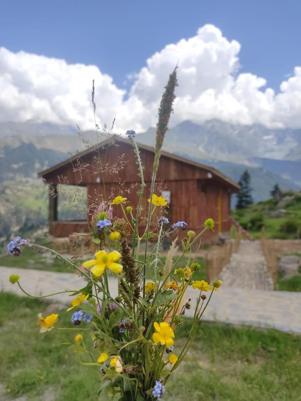 Khana Badosh Resort Kalam 외부 사진